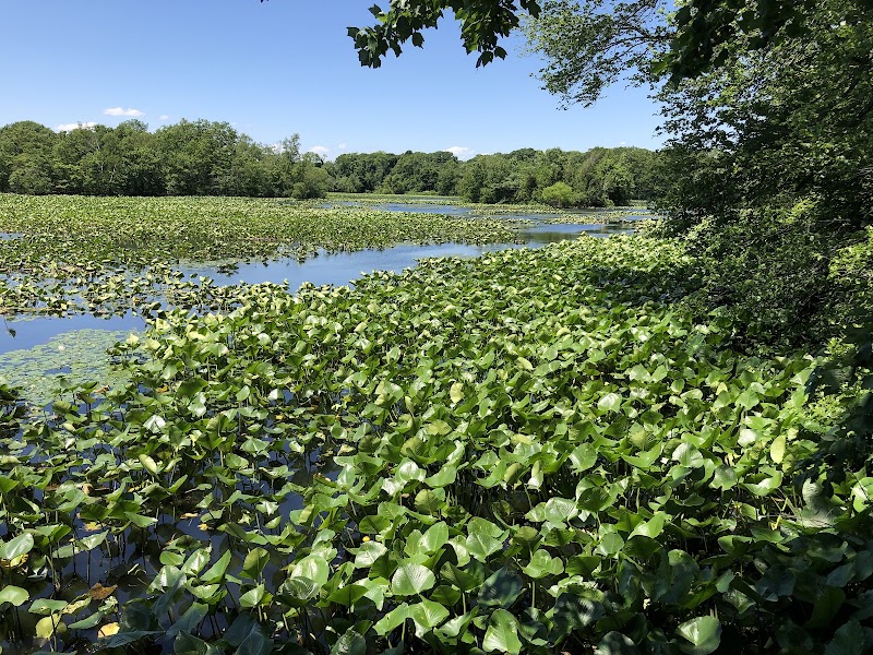 Morgan Days Park North