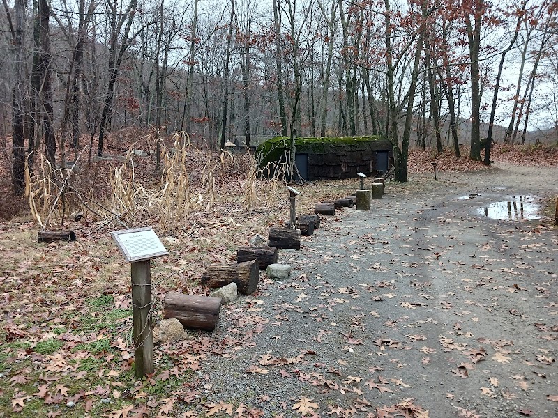 Winakung - A Native Lenape Woodland Forest