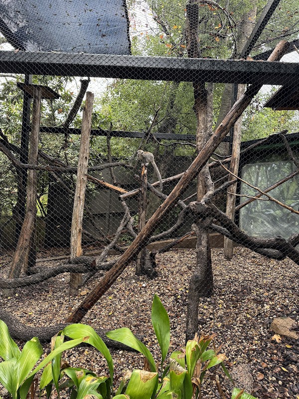 Wortham World of Primates