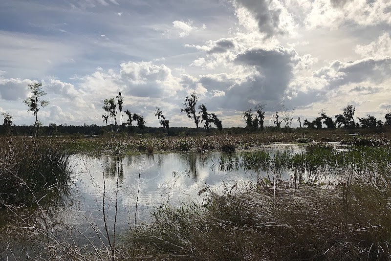 Masters Tract Stormwater Treatment Facility