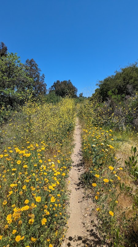 Mcgonigle Canyon Open Space