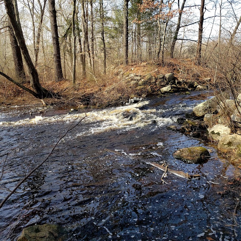 Mill Pond Conservation Area