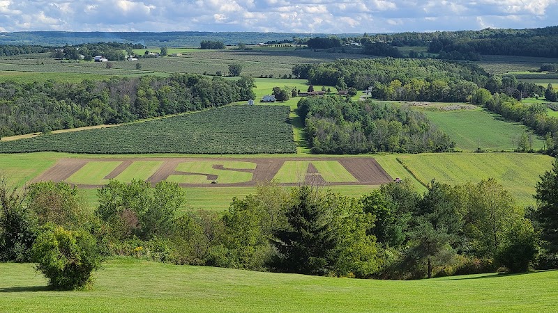 Branchport, NY - USA Field