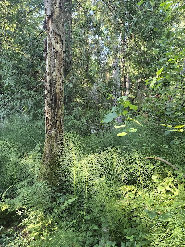 Fox Island Nature Center