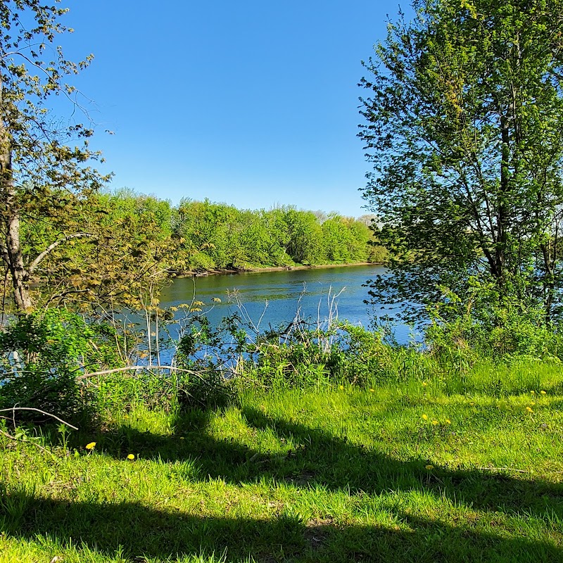 Litchfield Muster Field