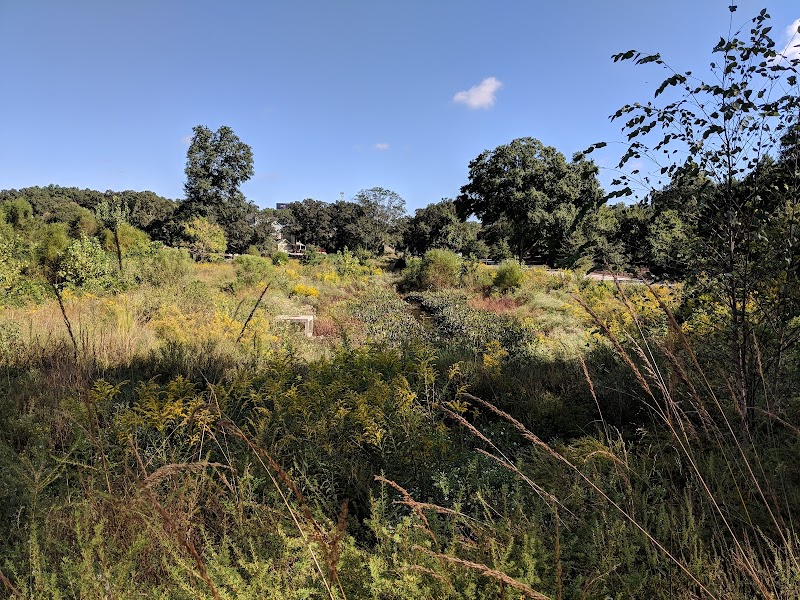 McDaniel Branch Wetlands