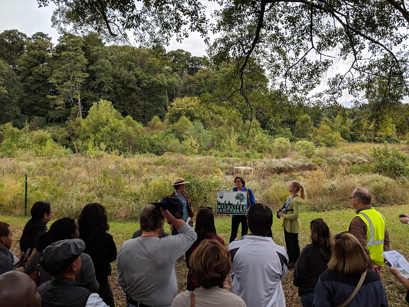 McDaniel Branch Wetlands