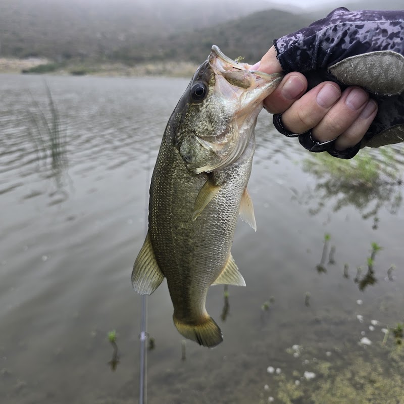 Lake Hodges