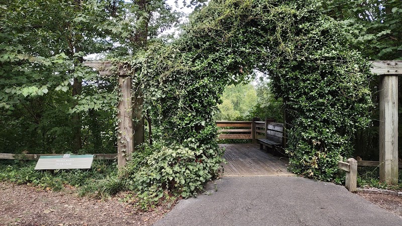 Blanche S. Benjamin Overlook