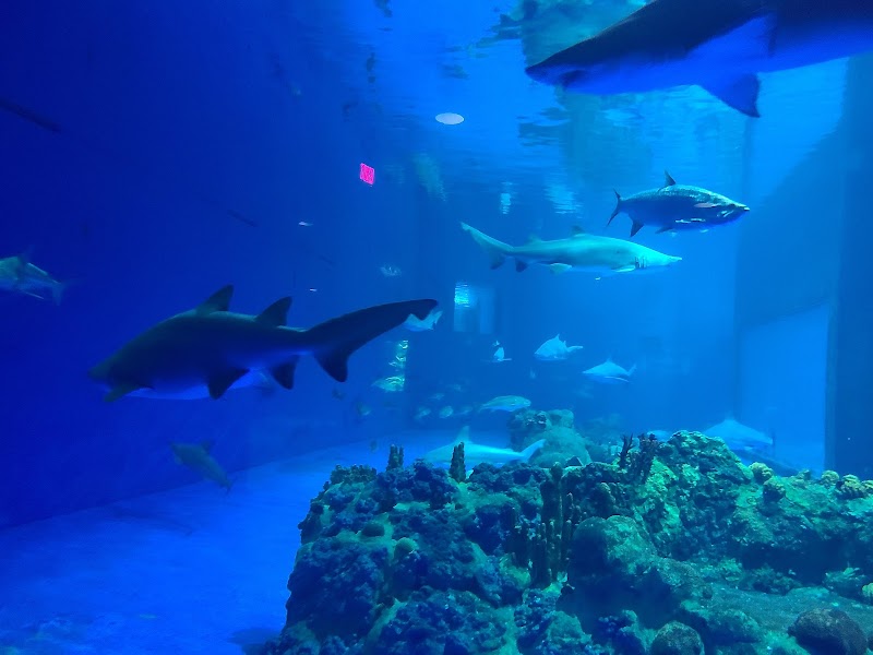 Discovery Point San Antonio