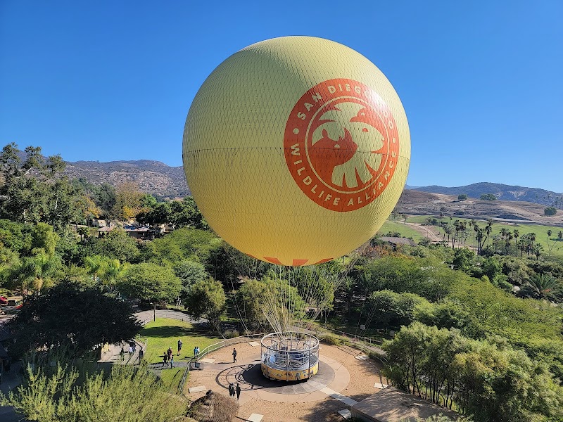 Balloon Safari