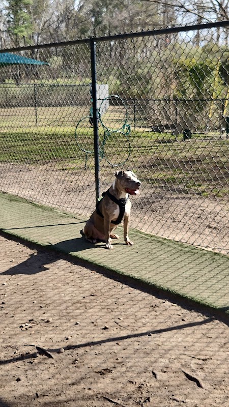 Wescott Dog park