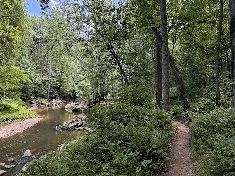 Bottom Rd Steel Bridge LGP White Trail