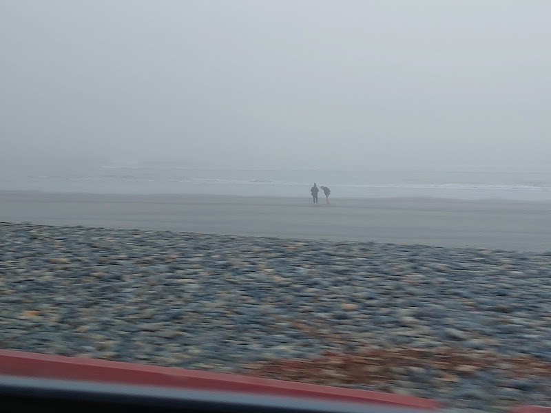 Double Palm Tree Beach Viepoint