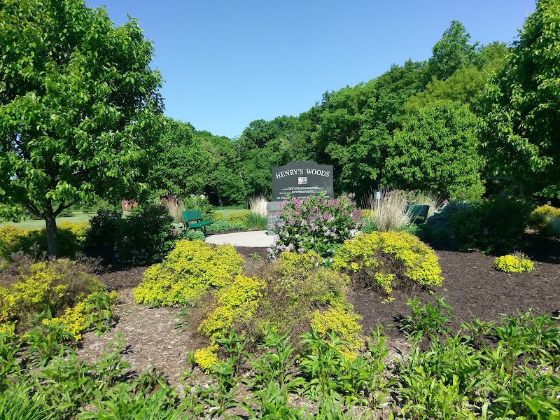 Henry's Woods Park