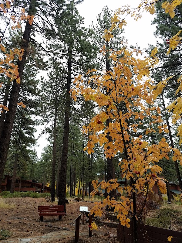 North Lake Tahoe Demonstration Garden