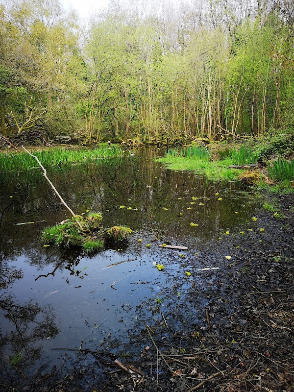 Llanishen Park