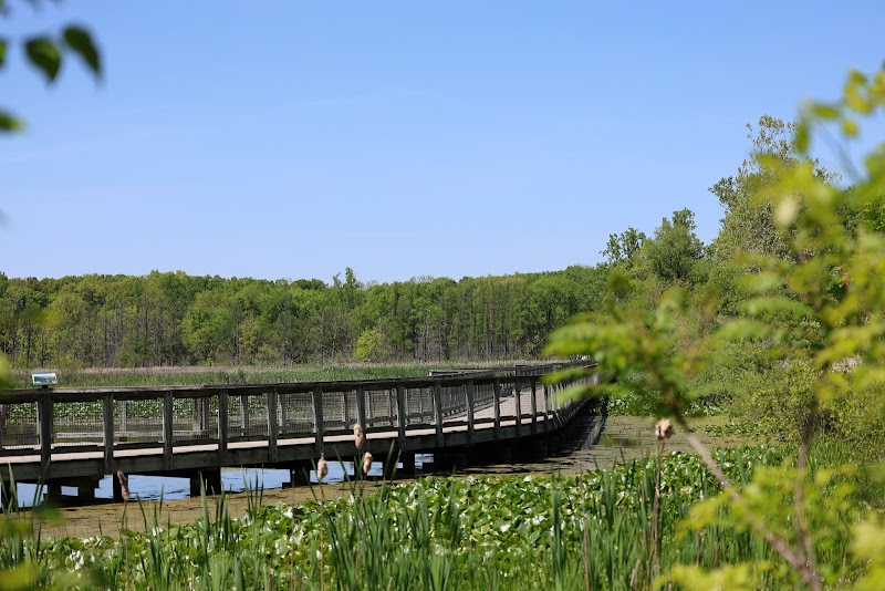 Wildwing Trail Boardwalk & Bird Watching