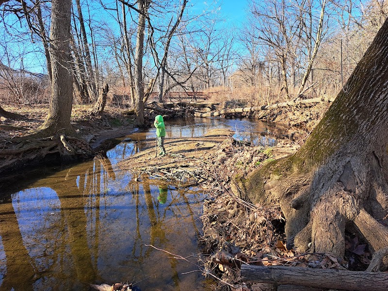 Piszek Preserve