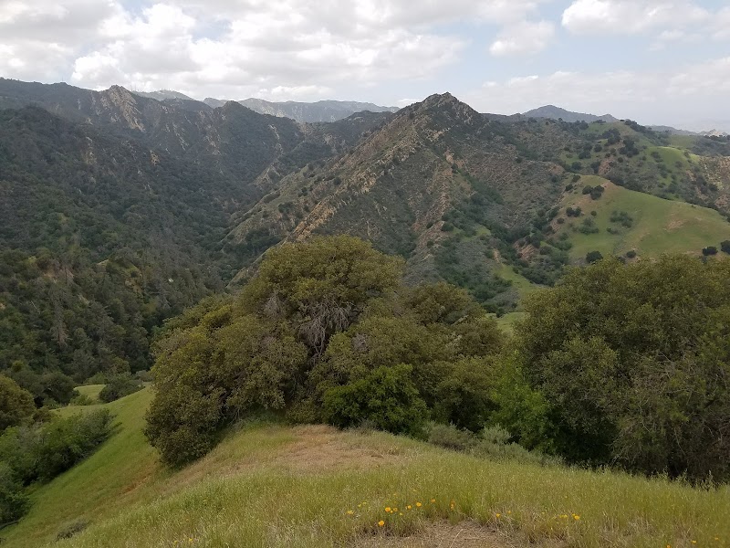 Michael D. Antonovich Open Space