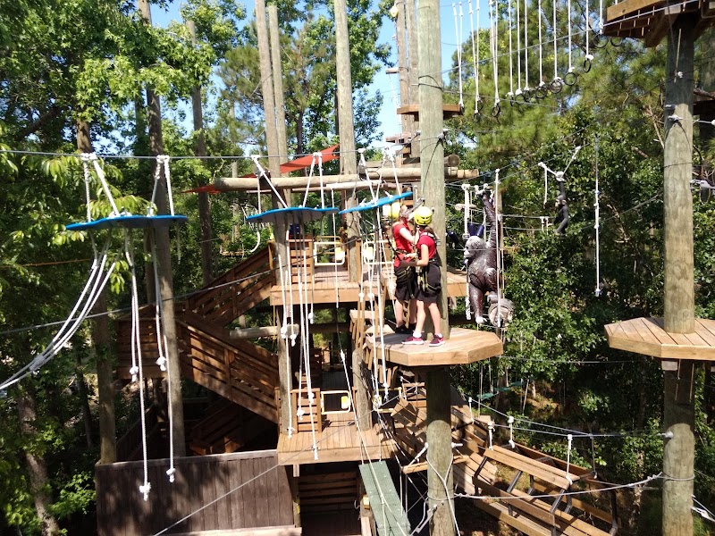 The Swamp Park- Zip Line and ATV Center