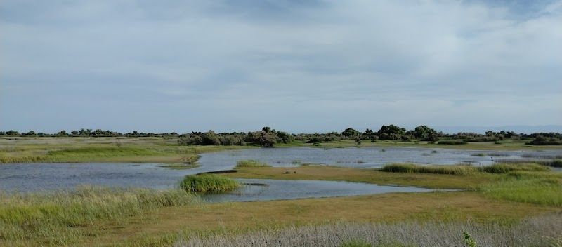 Kern National Wildlife Refuge Complex Admin Building And Visitor Contact Station