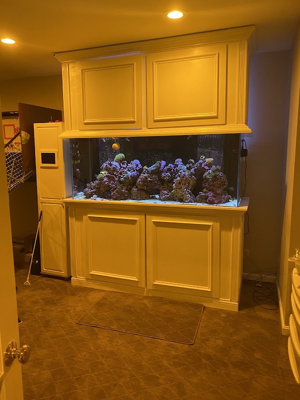 Aquatic Interiors Inc