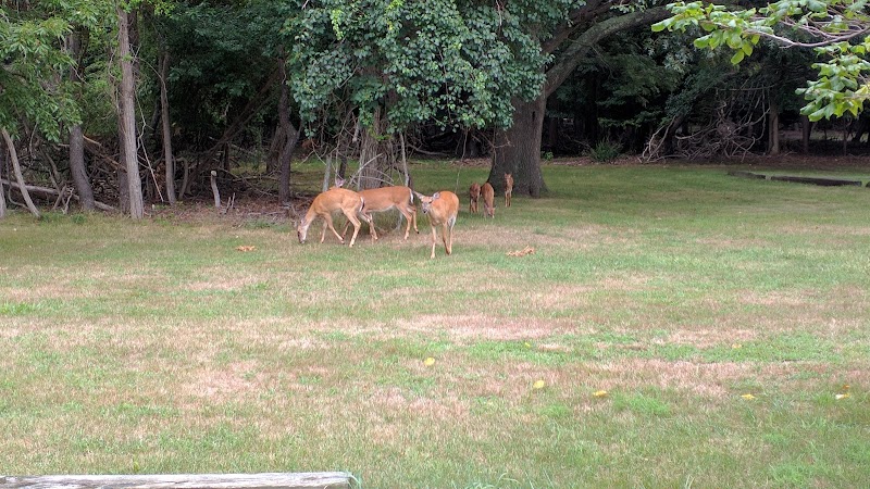 South Shore Nature Center