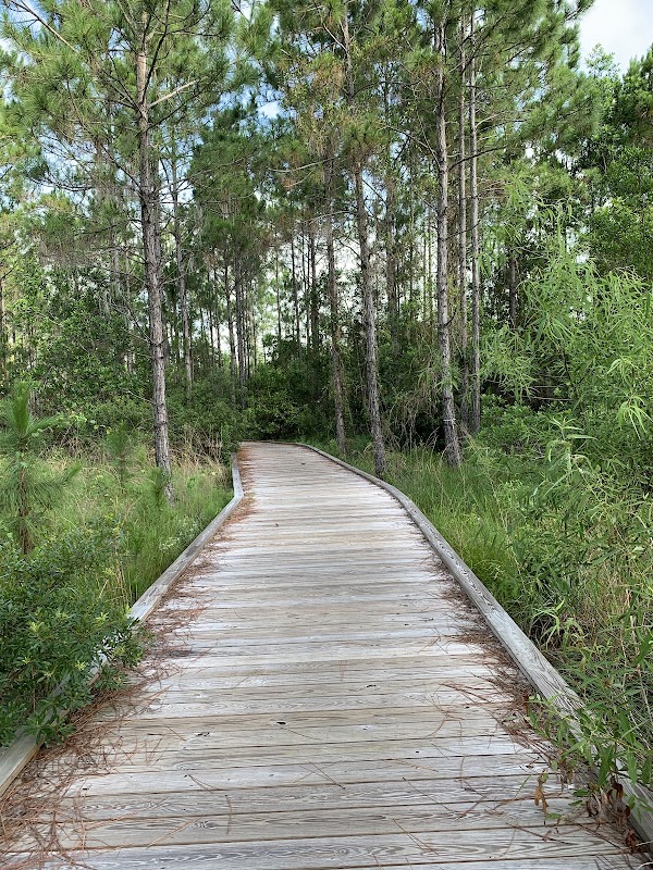 Laureate Park Nature Trailhead - Bovet Ave