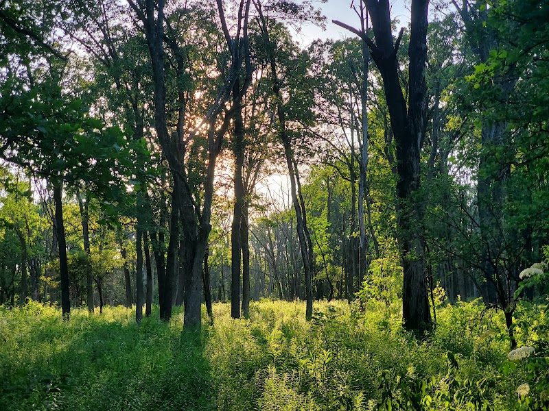 Cranberry Slough Nature Preserve