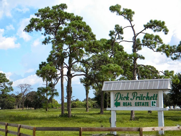 Southwest Florida Eagle Cam