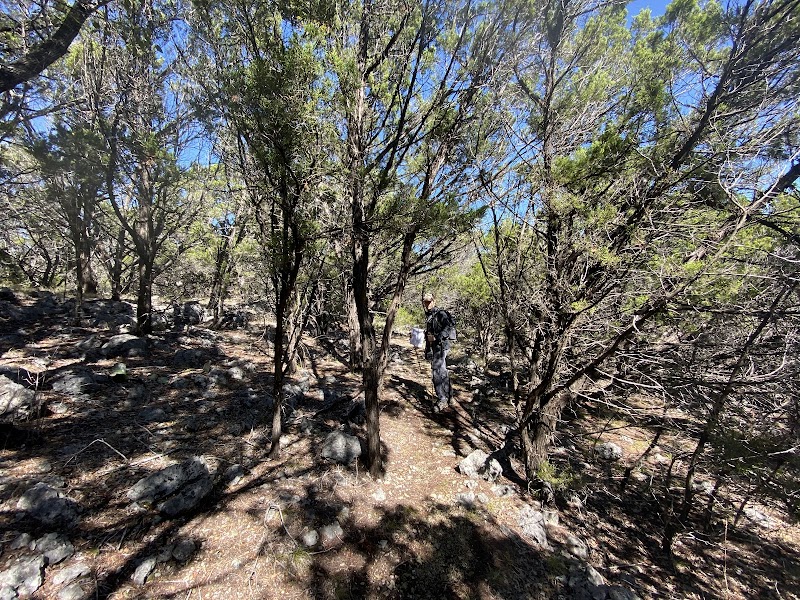 Travis Audubon Society Baker Sanctuary