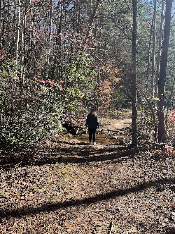 Ashmore Heritage Footbridge