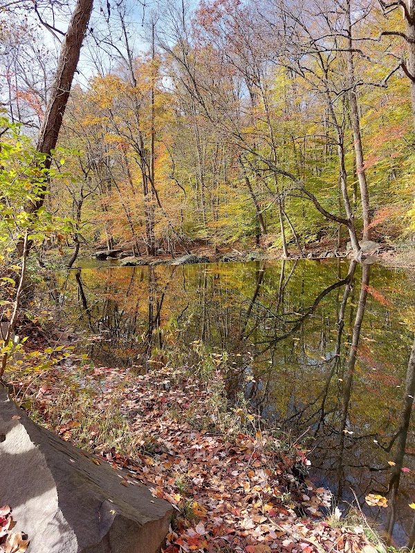 Old Railroad Trestle Bridge