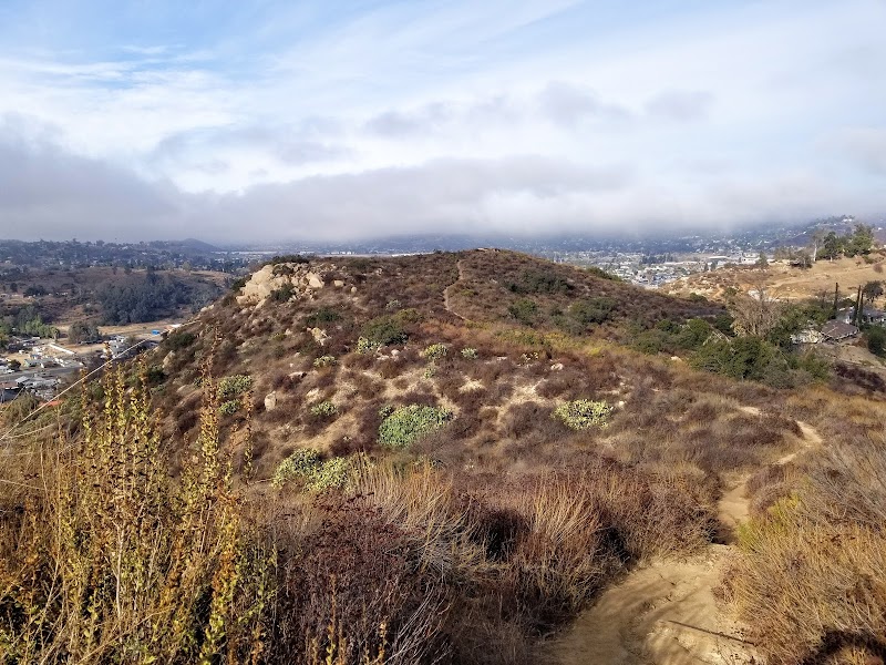 Lakeside Linkage County Preserve