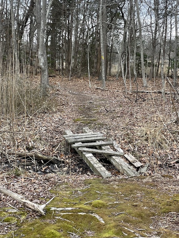 Wading River Marsh Preserve