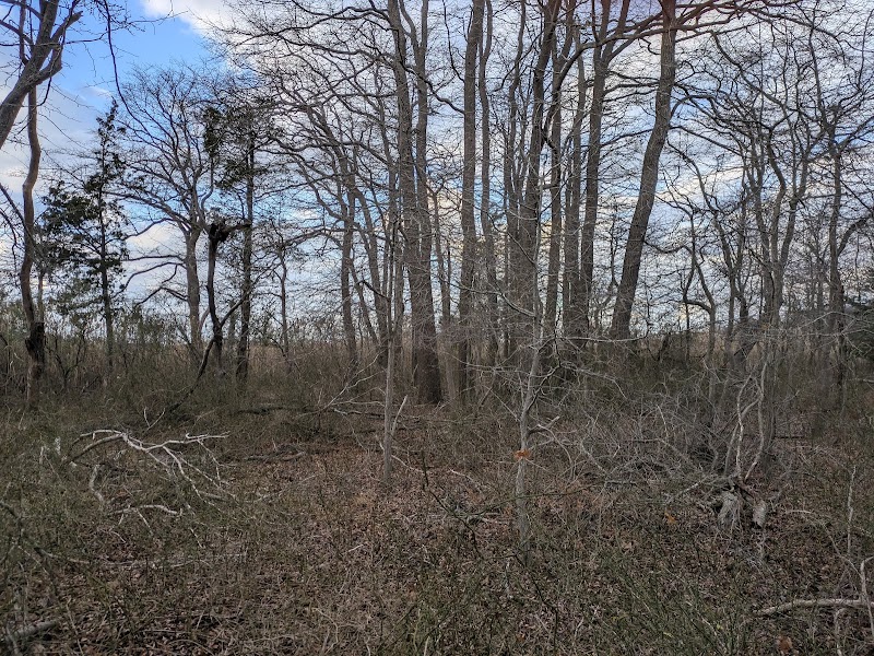 Wading River Marsh Preserve