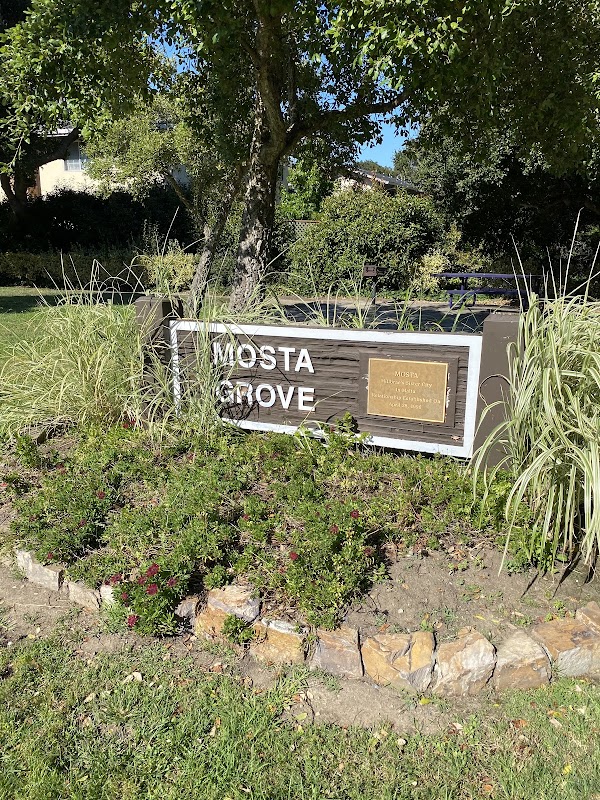 Mosta Grove