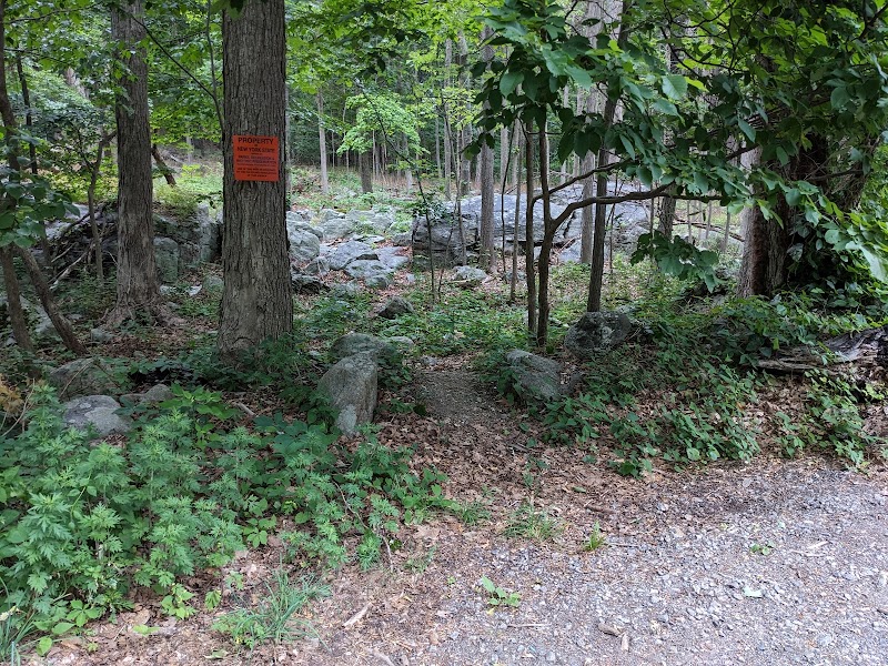 Lonestar Trailhead and Parking