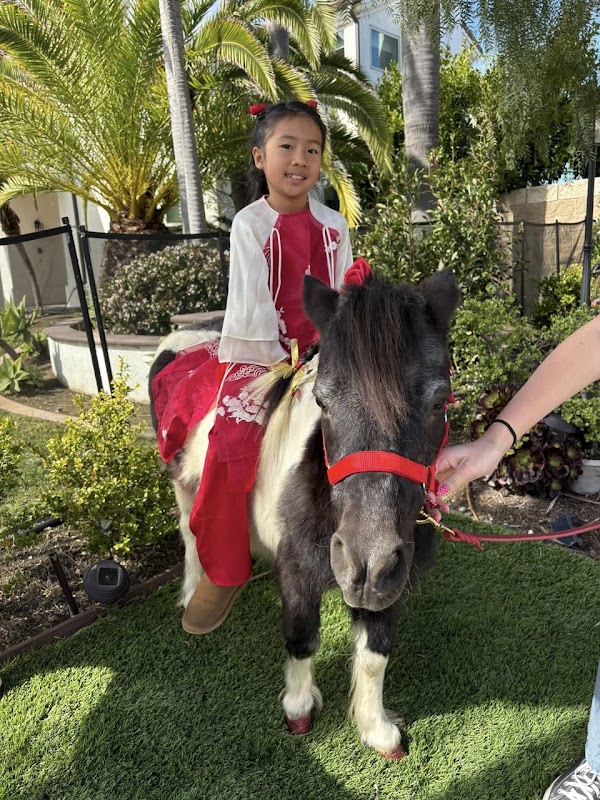 Picture Perfect Pony's