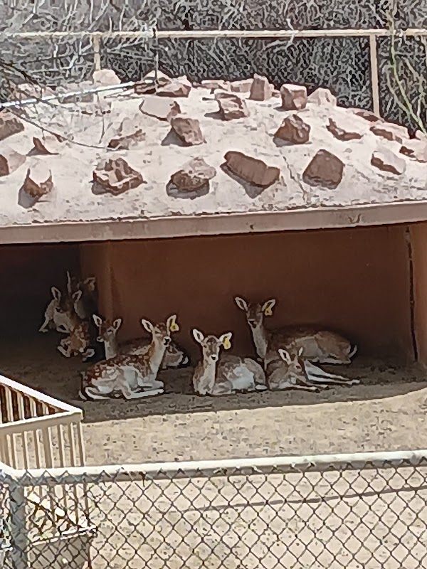 Indian Cliffs Ranch