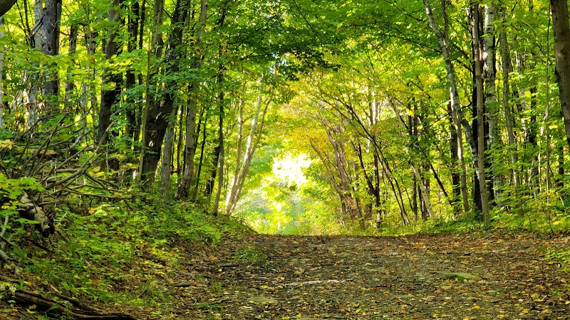 Martiniere Nature Park