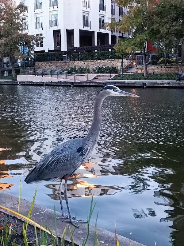 The Woodlands Waterway