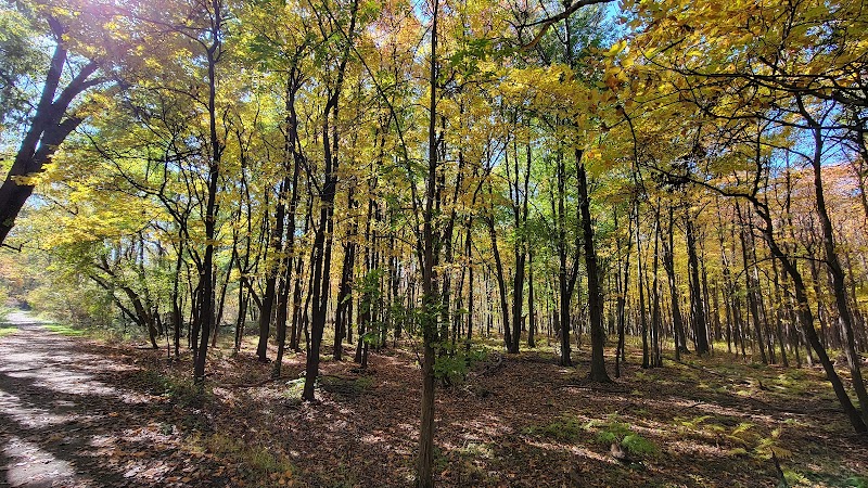 Spring Garden Natural Area