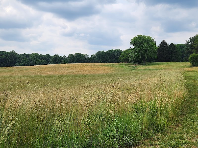 Natural Lands' Peacedale Preserve