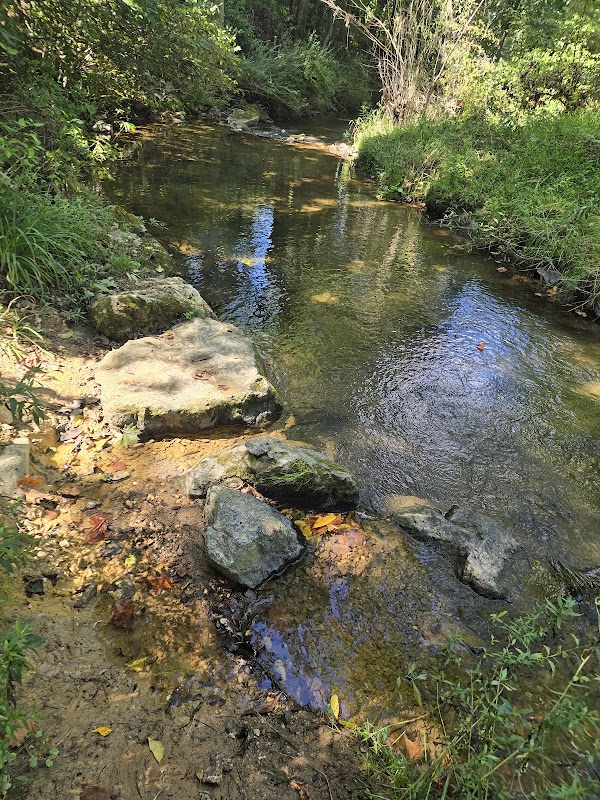 Mill Creek Preserve