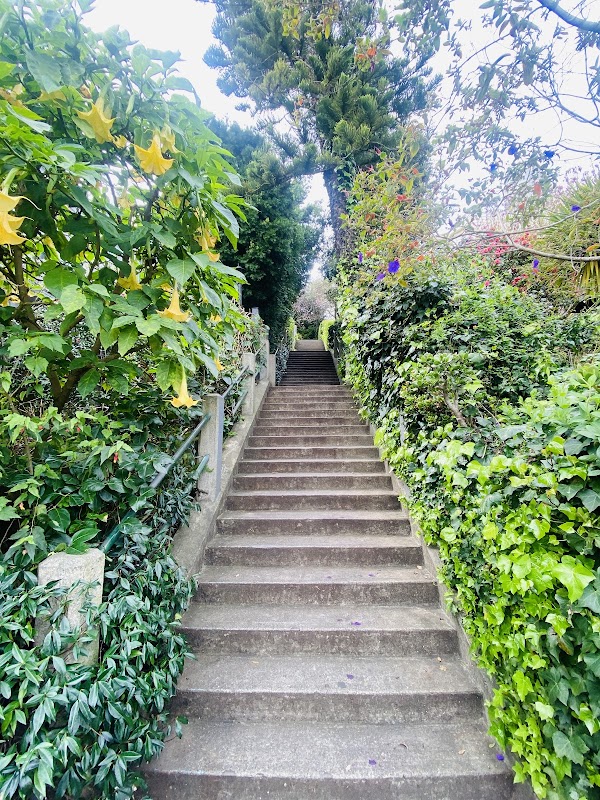 Filbert Steps