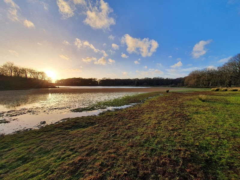 Brown Moss Nature Reserve Carpark