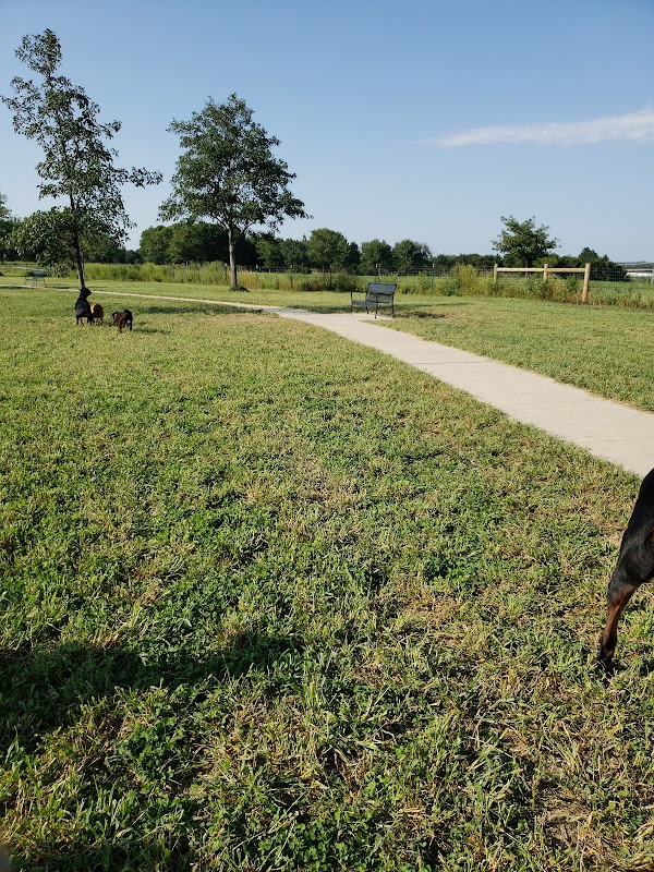 Mahoney Park Dog Run