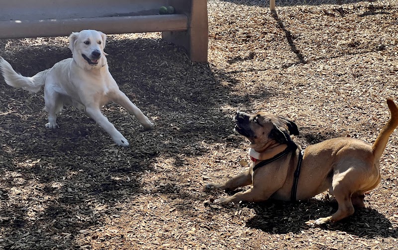 Fallbrook Dog Park